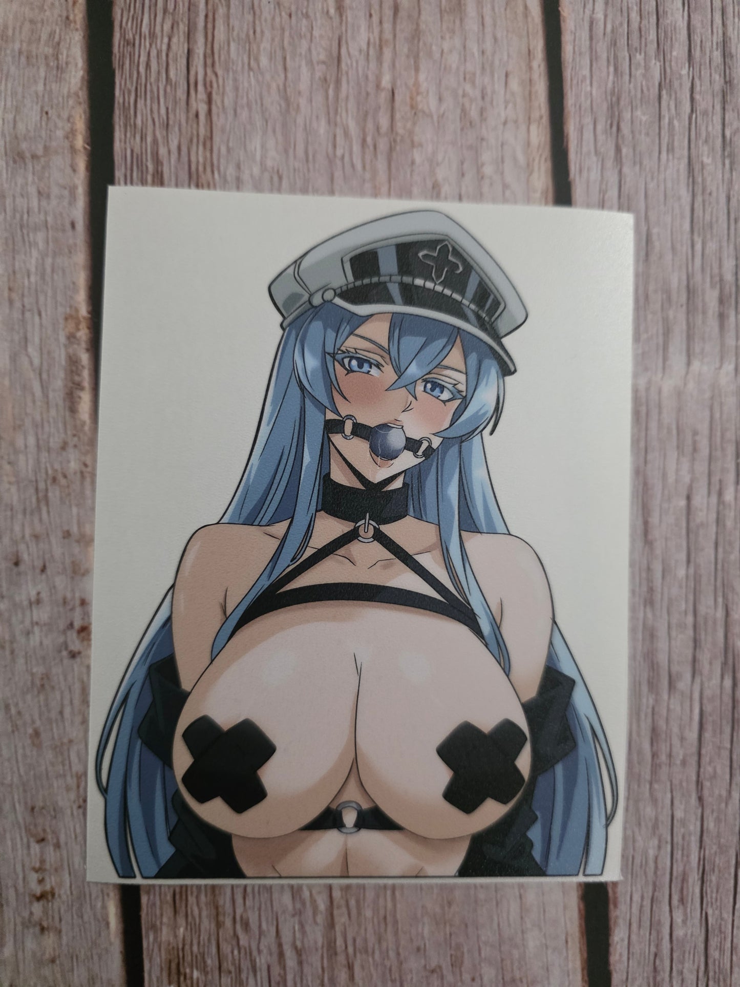 Esdeath and Albedo Bondage 5" Decals